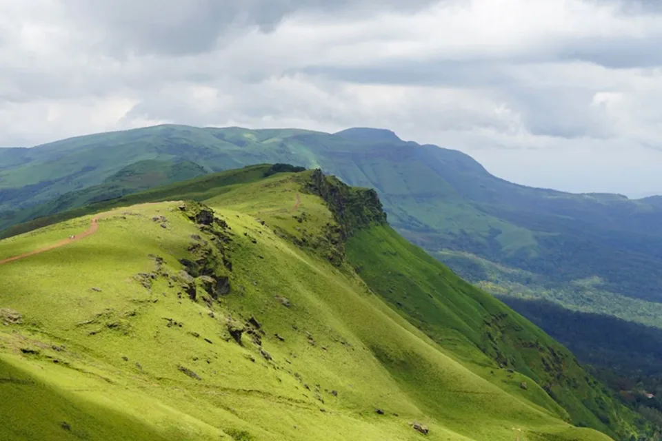Rolling green hills of Chikmagalur at dawn