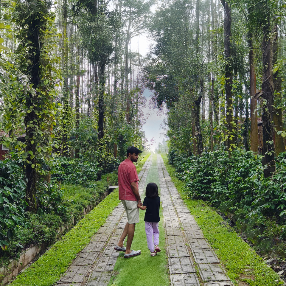 Coffee Plantations Walk